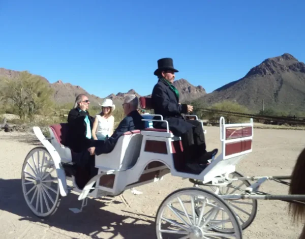 Officiants Listing Category Tucson Weddings