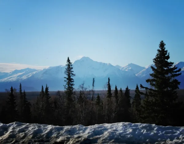 Venue Listing Category The Government Peak Chalet