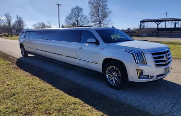 Affordable Limousine & Party Bus Gallery 5