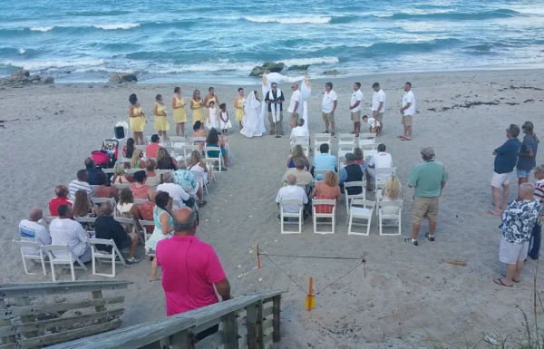 Steel Drum Weddings Gallery 0