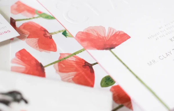 Paper Daisies Stationery Gallery 6