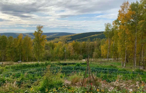 Calypso Farm and Ecology Center Gallery 4