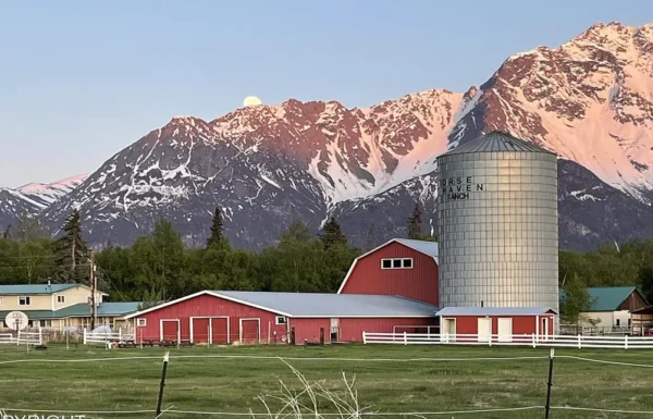 Matanuska Views Ranch Gallery 0