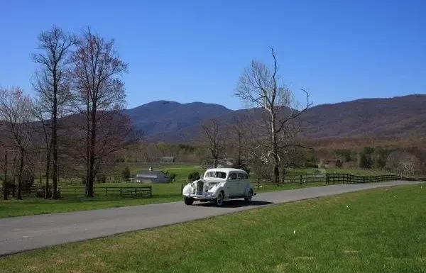 Albemarle Limousine Gallery 2