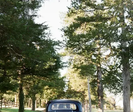 Albemarle Limousine Gallery 0