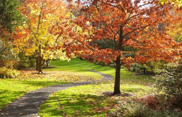 Reeves-Reed Arboretum Gallery 0