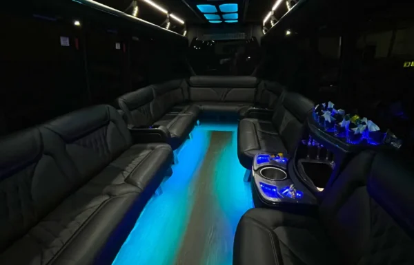 716 Limousine Gallery 2