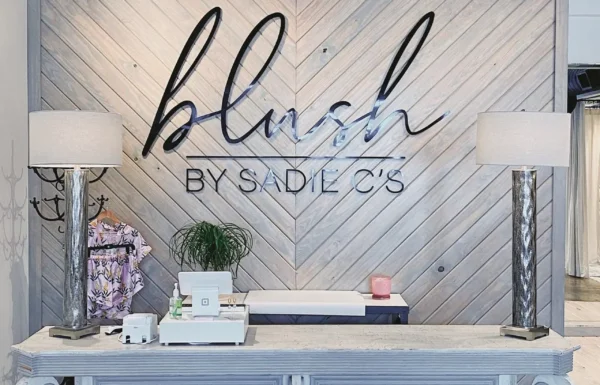 Blush by Sadie C’s Gallery 0