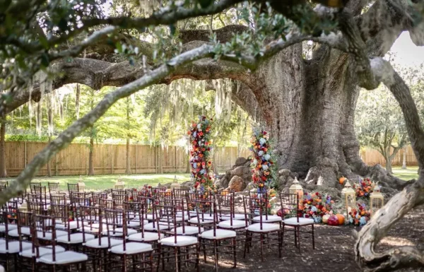 PK Weddings and Events New Orleans Gallery 4