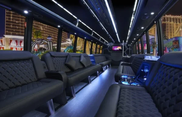 Empire Limousine Gallery 8