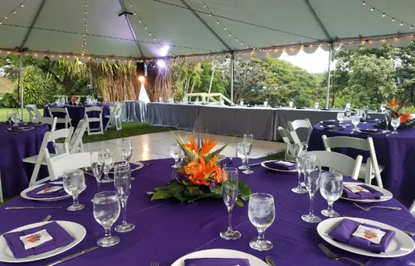 Aloha Event Productions LLC Gallery 3